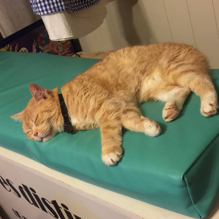 Eba5073c 70bb 4fc3 be40 a31196d83946 1559818185695