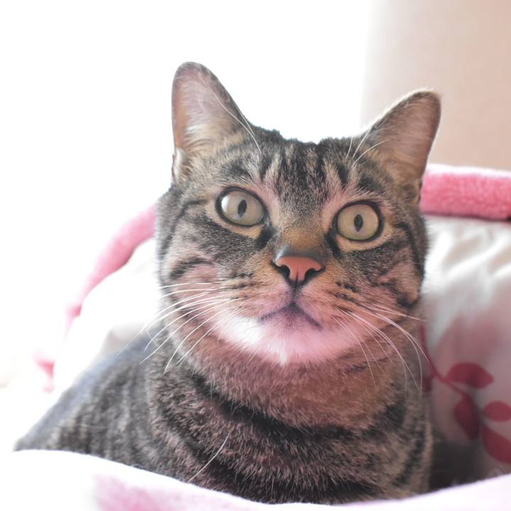 Eba51df4 7985 421f 94bb 584f1ae51312 1515561298479