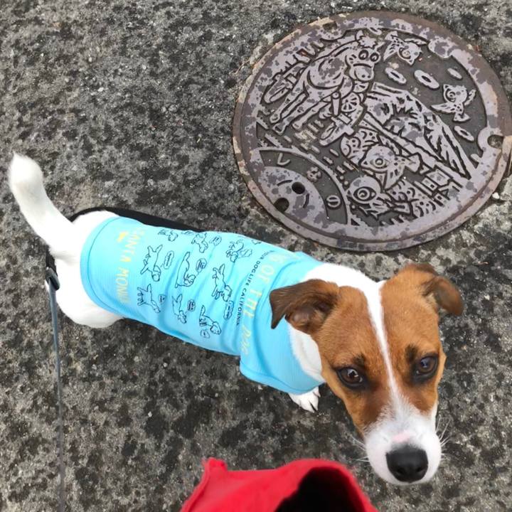 Eba528bb 2297 4096 9da5 90ee96dd57a2 1526173326229