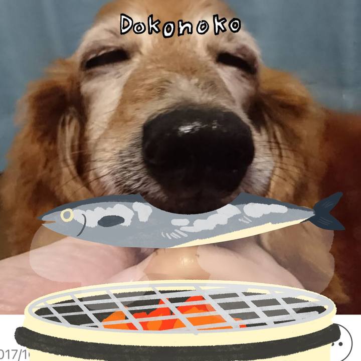 Eba5dae6 9fea 4f9d 9546 247be15c13ab 1761886761143