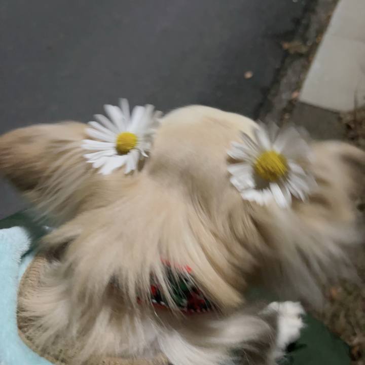 Eba5e112 d273 487f b516 f5706acd926c 1701854202460