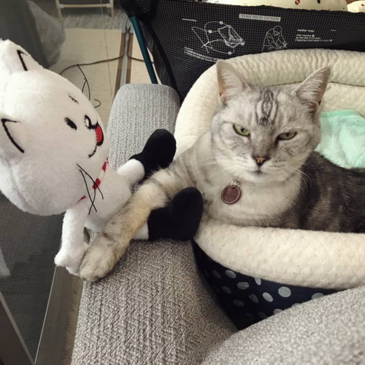 Eba61567 82e9 46cf 8c58 0f386c6d516c 1613968911226