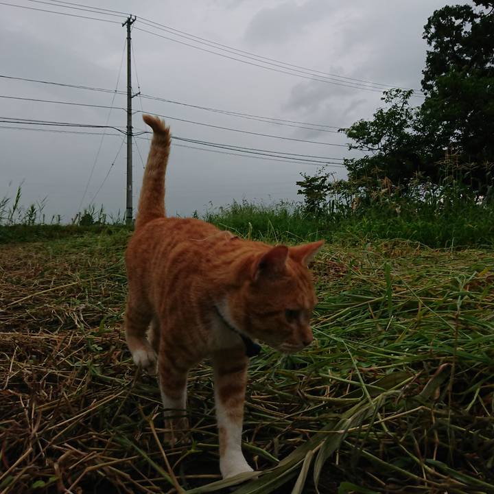 Eba67ede 856d 4f17 b3e5 07f1cde73df6 1565948760703