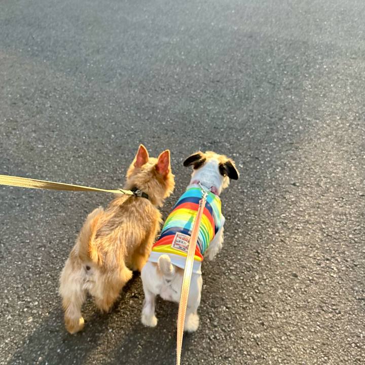 Eba684ae 9c31 4309 b5de 6d55706ec5c5 1714907505694