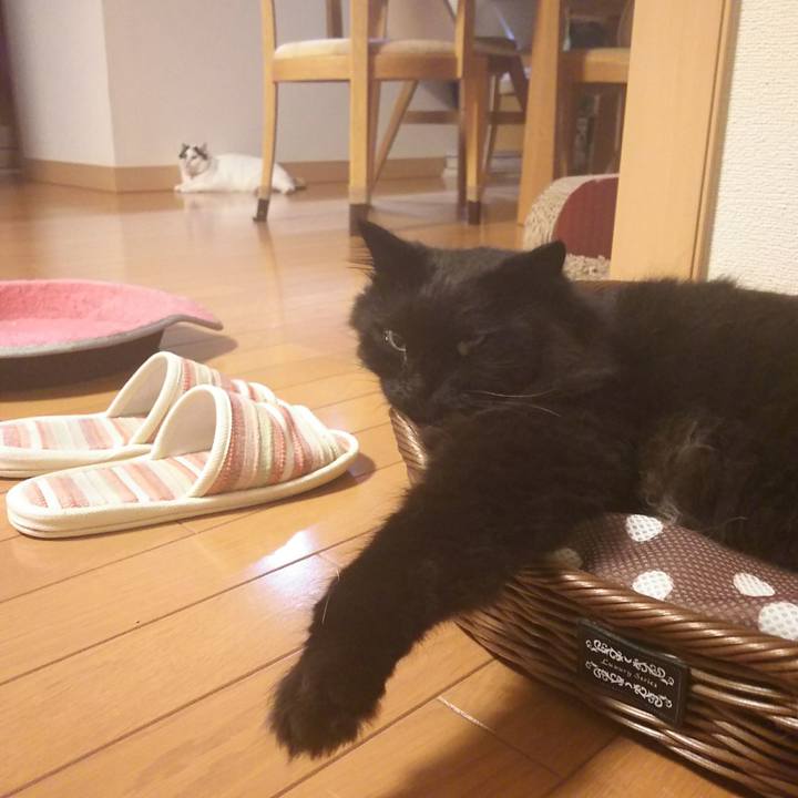 Eba69e52 8efb 4edf a308 9a5c754a68b0 1530709271226