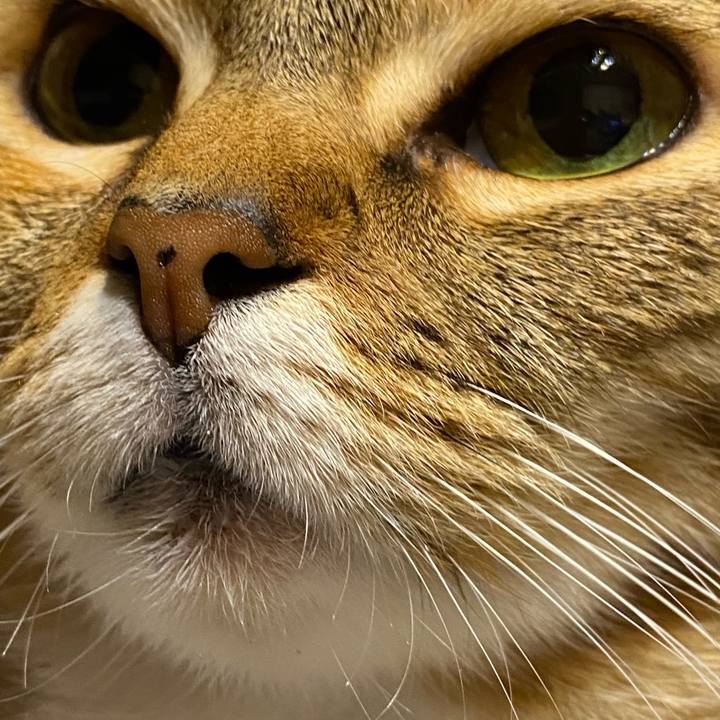 Eba6cfc0 06bd 447c 9c21 22004e9ca9dc 1616157202398