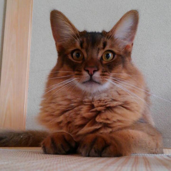 Eba6f0e9 37e1 43ca a875 e8683080a27f 1593397208291