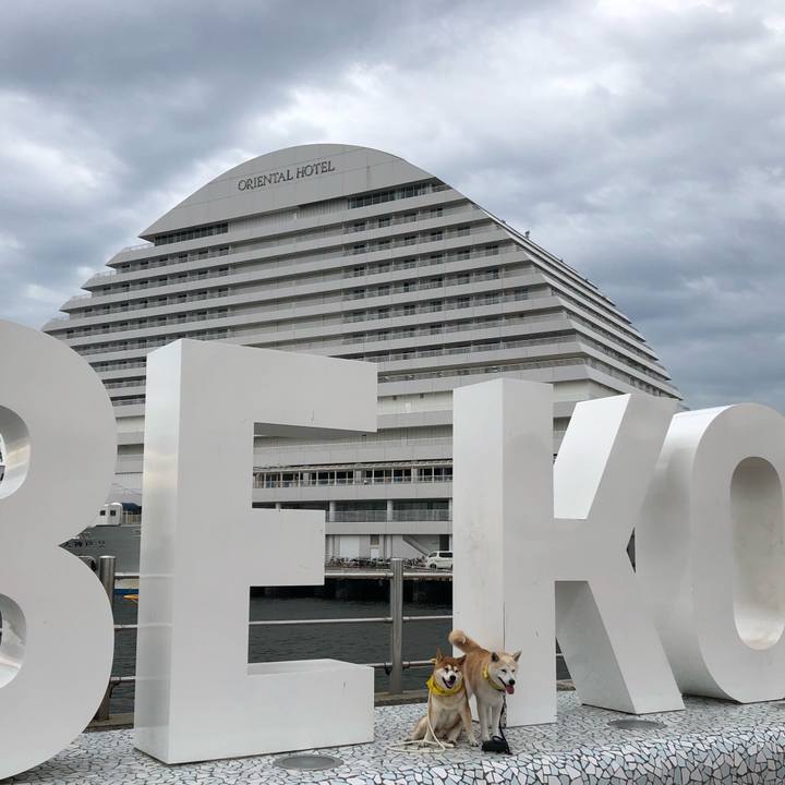 Eba6f1f9 1c9e 44aa a8f3 4499ad333314 1569634110532