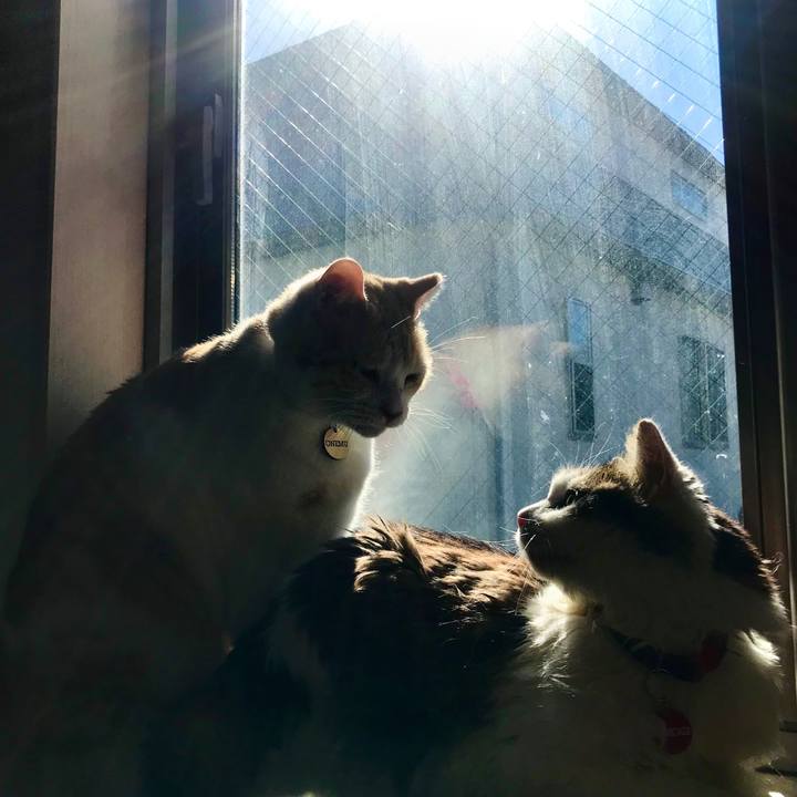 Eba737f8 8c0e 4e69 a7f3 9729d12eaed1 1611025340254