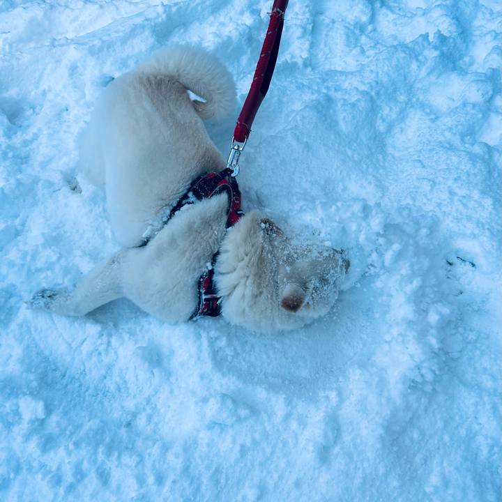 Eba7743e 89fb 4356 a3a1 3f064a1c31cc 1708122841944