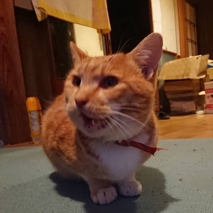 Eba78390 429c 481b 9f68 098c5aa1edd8 1575532182576