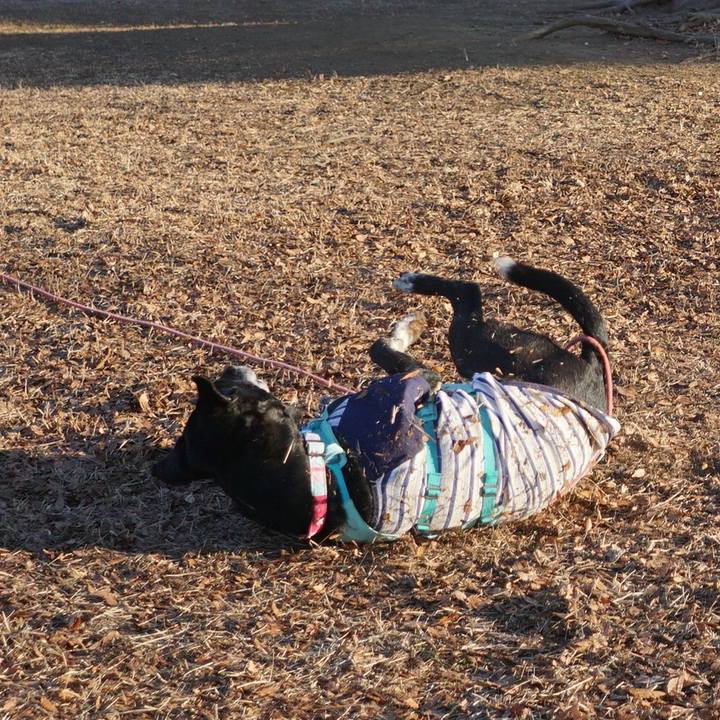 Eba79bf1 9300 4146 aa16 5241bef41088 1770254113072