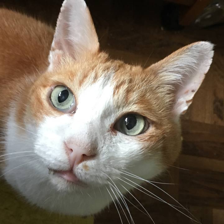 Eba7d5b4 72d3 4ef9 bc07 aaec208533ca 1566963138289