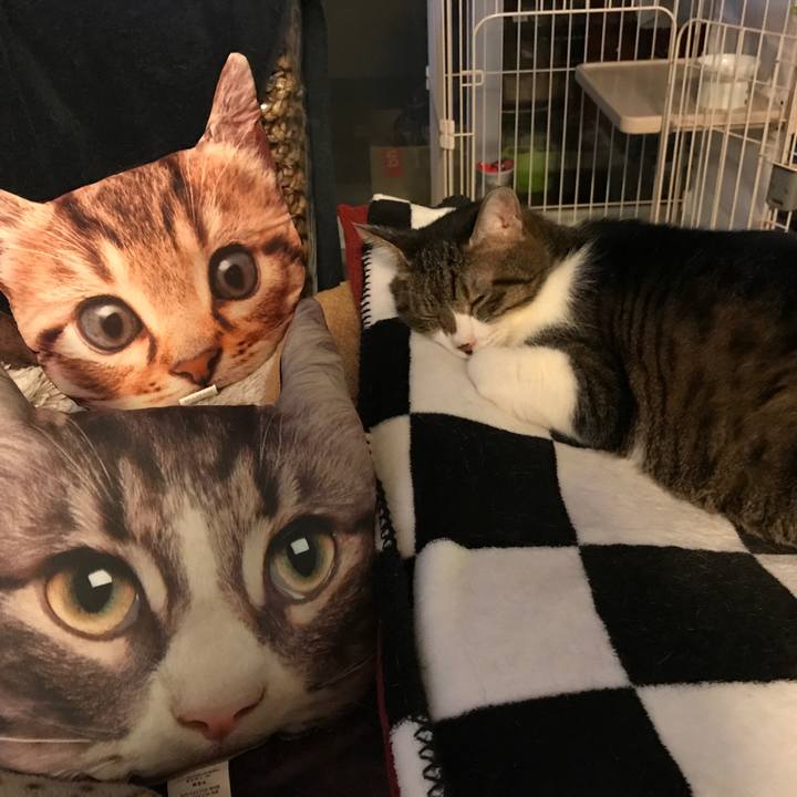 Eba7e476 bff1 4764 9434 50e4bcbb5f92 1524243240699