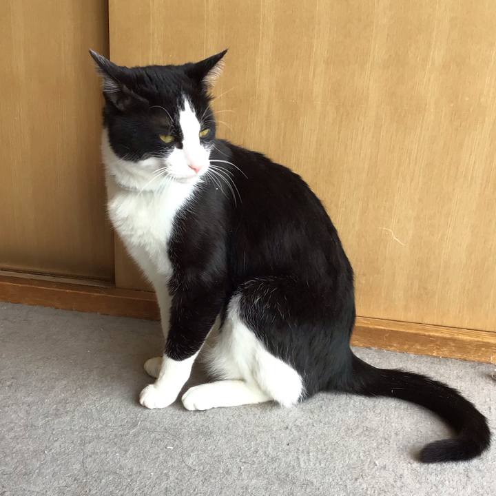 Eba818e1 f5cb 4d85 ae9f 209f03d7a6f7 1683099245510