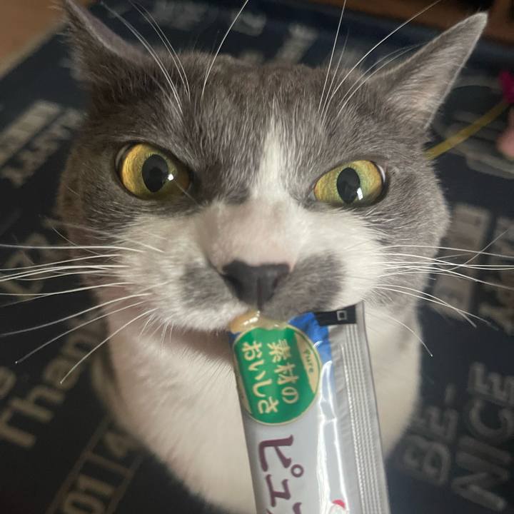 Eba8464d 6a81 46b4 a1ff ef475dc87b07 1720427200197