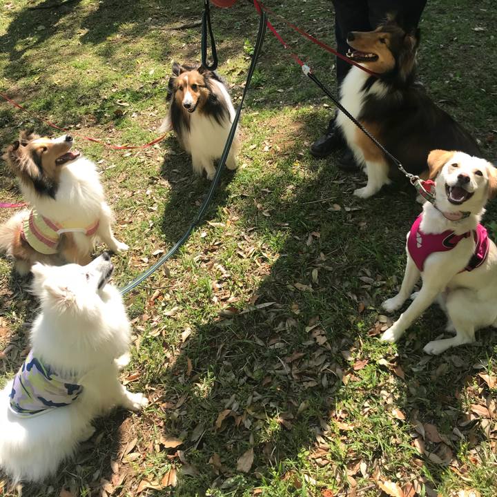 Eba8549d b4dc 4fb2 a28b 54c014c37192 1524489260932