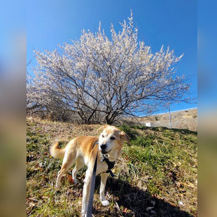 Eba8b122 7b56 4c74 9e2c bde6efc958d7 1645771535686