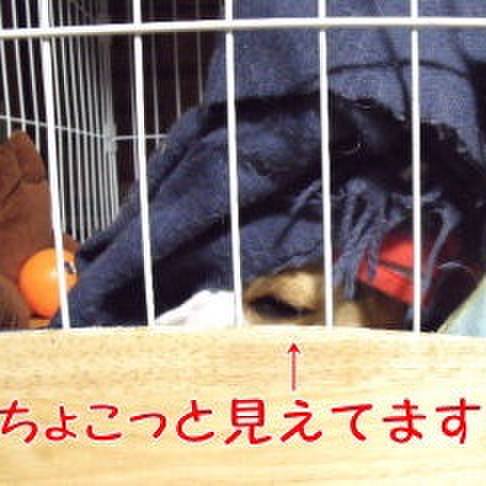 Eba8bf8b 457a 4119 a71c 064f4d5f6732 1686528607986