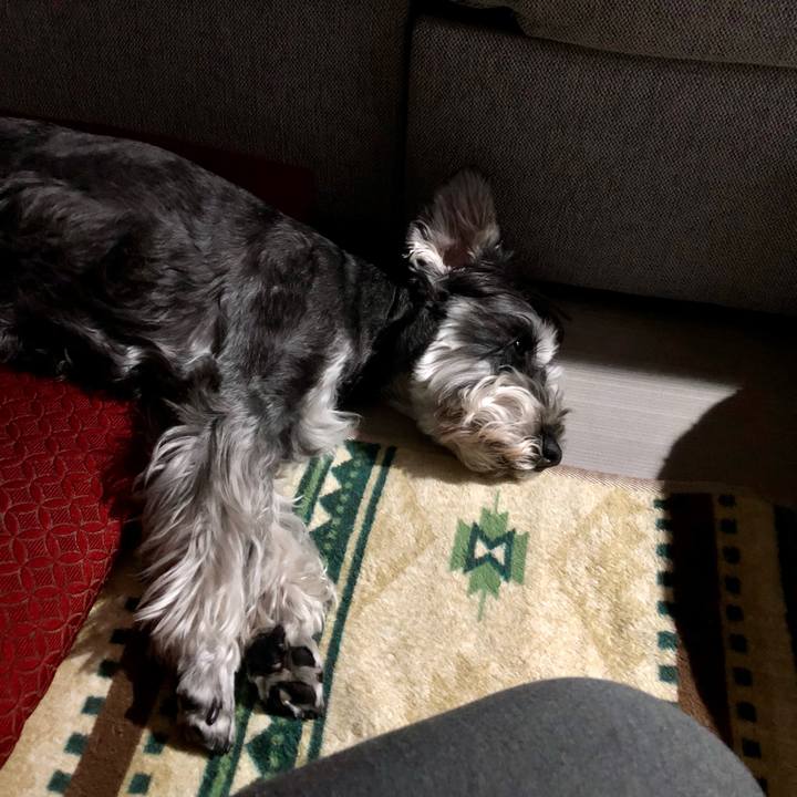 Eba8c69c 749d 48a7 b65f 5222c809c60d 1653486138443