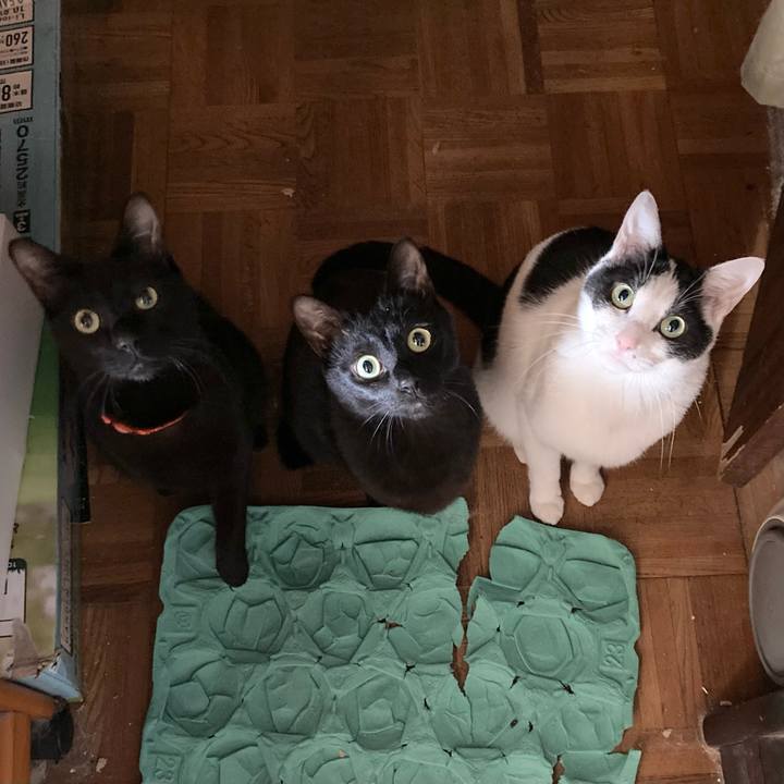 Eba8dfd7 7146 4661 82a2 92a9c597ffde 1678339368969