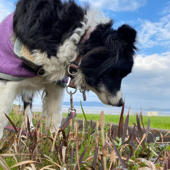 Eba8e8ab 3b31 4f23 8130 bc65cd4d55e5 1709428069203