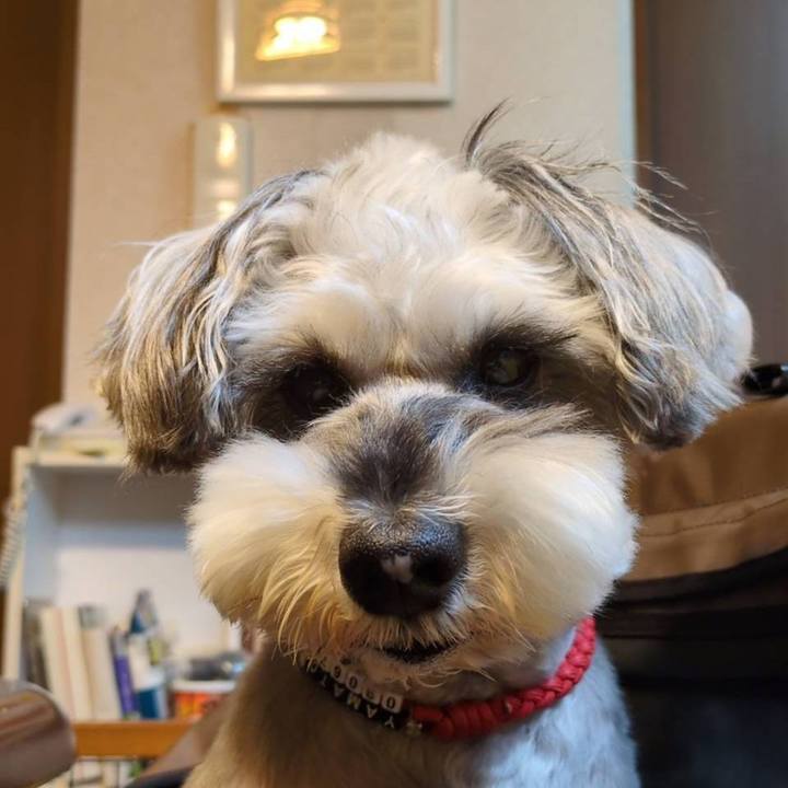 Eba91a6f d29d 4a1e 8f01 c8ce77ec58a0 1763382978642