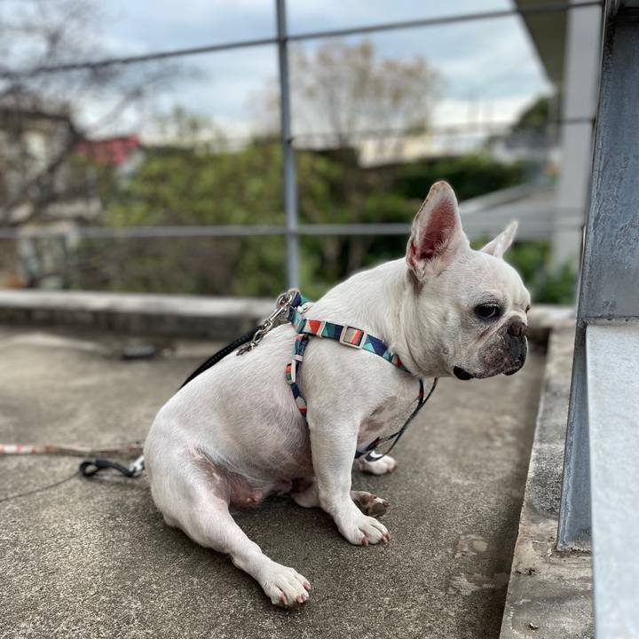 Eba94c29 f703 4a49 8acb 600e924f0843 1729465435188