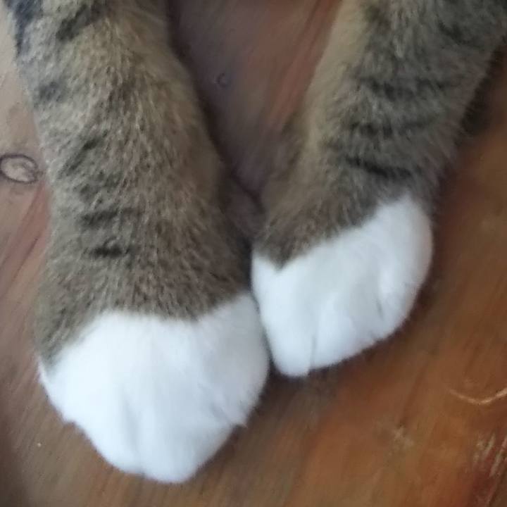 Eba99c29 8411 4cef 9ef9 baafa2226934 1601536936266