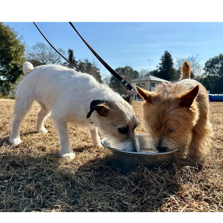 Eba9cf67 4359 4180 b6cc c454ab234428 1739681333507