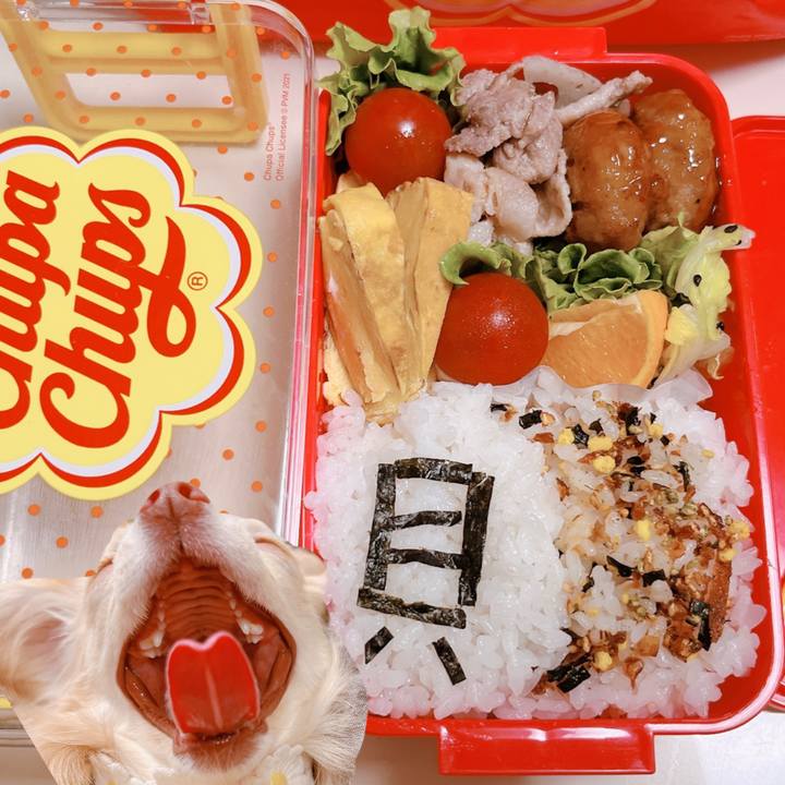 Eba9d1f0 4675 4982 bd91 0db536e18417 1651837543781