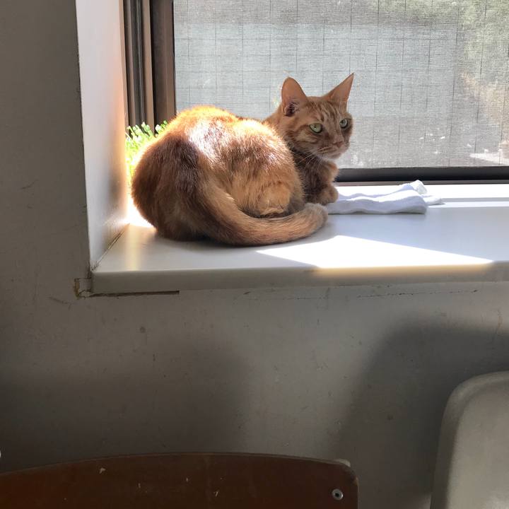 Eba9f2c2 2f16 476e 8ff2 4969bd5f7502 1554770706411