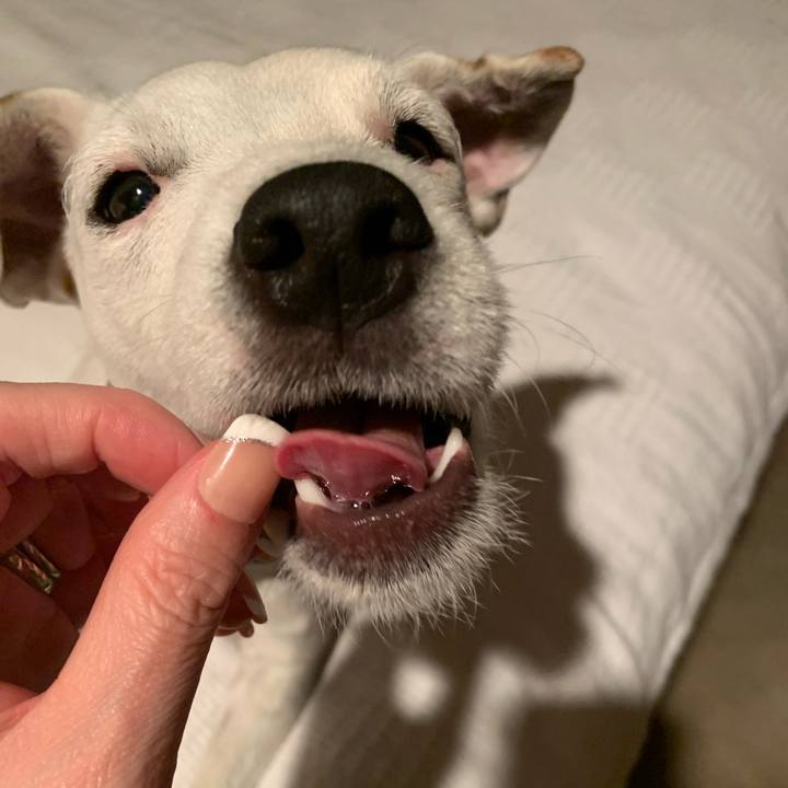 Ebaa00ae 4b5c 47d8 8b35 719687da7a80 1555159177119