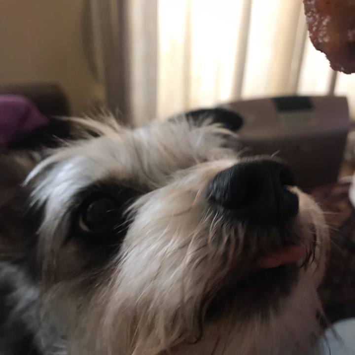 Ebaa1fa6 932b 43ed 9cb6 3e85c0385884 1553958972223