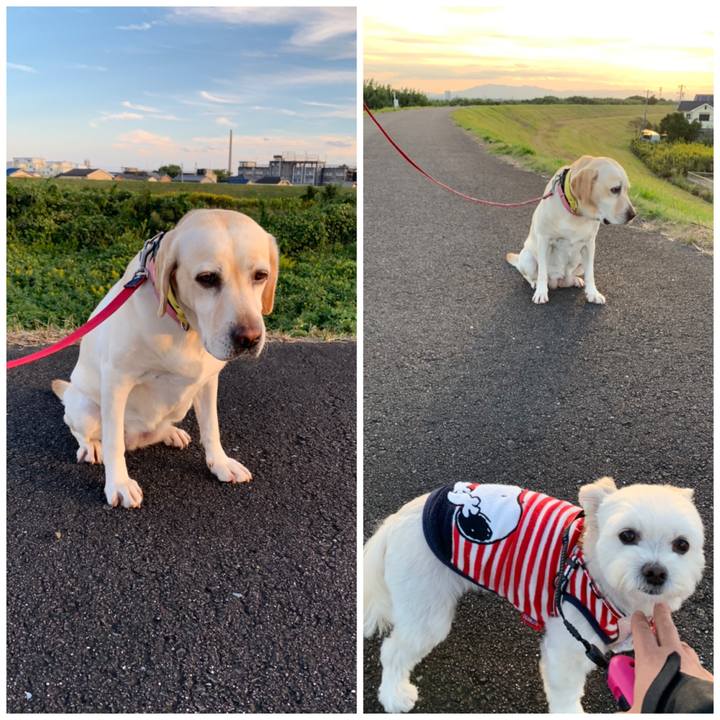 Ebaa24ac 387b 4172 8261 d3d83f4f563c 1603268999233