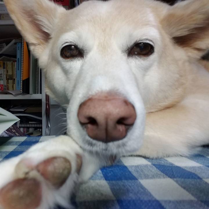 Ebaa36e2 be0d 4dd5 9172 99ed8d7953da 1524701449860