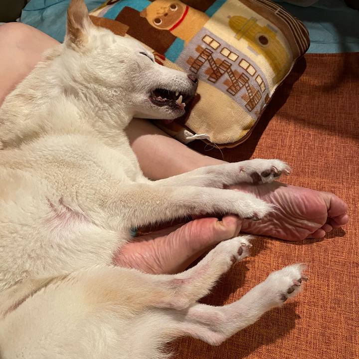 Ebaa4e51 5930 424e a7a8 3c4a11217f70 1665226533940