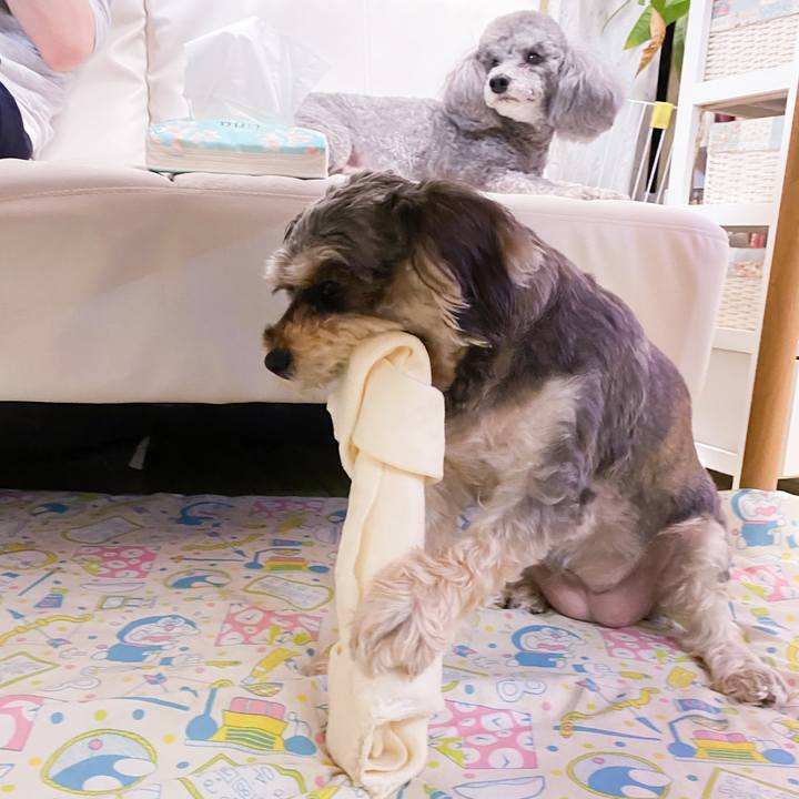 Ebaa76d6 eadd 49af 93ec f7f681d61b9d 1622464887844