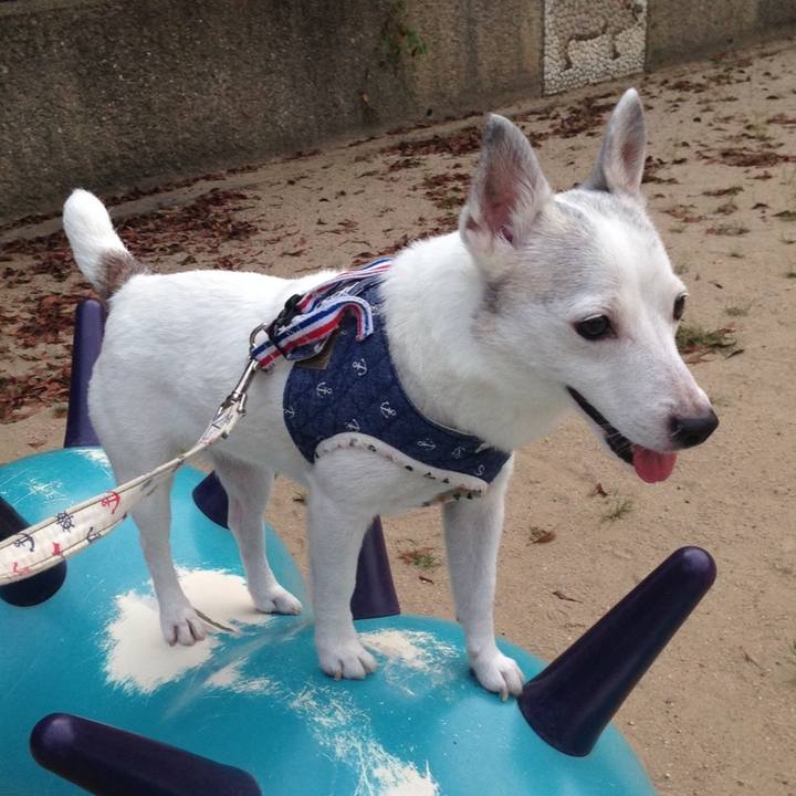 Ebaa99a2 9b9d 4486 bdb4 611e942c308b 1759358321164