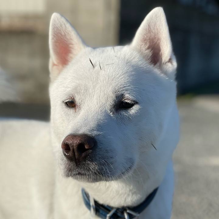 Ebab1d08 b0d4 40ad aa4b 4bb2ffd8593c 1641600393342