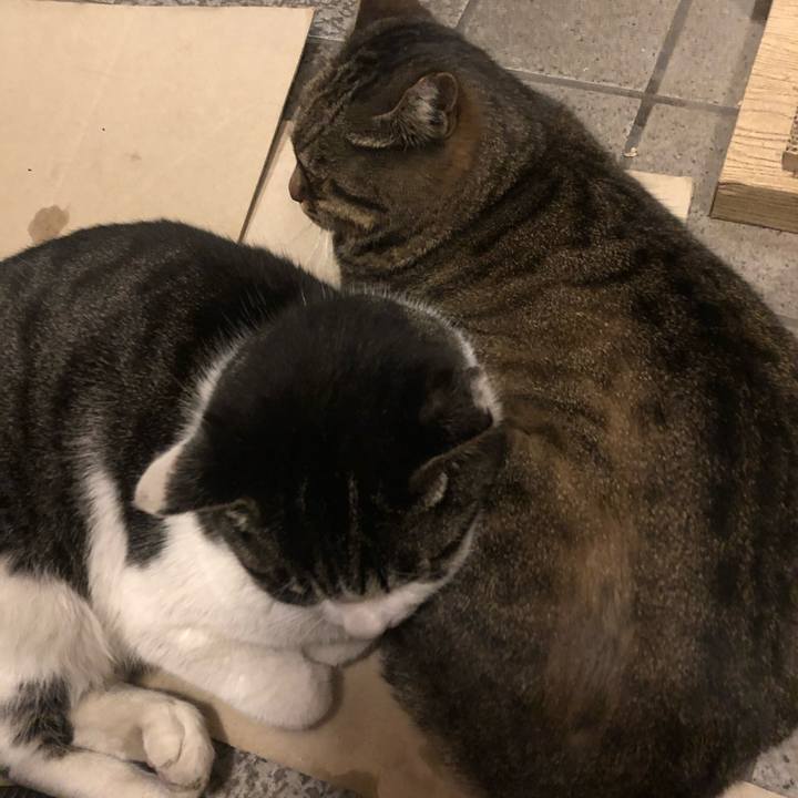 Ebab310e 3964 402e ba39 1b8058e7c0fe 1606905187792