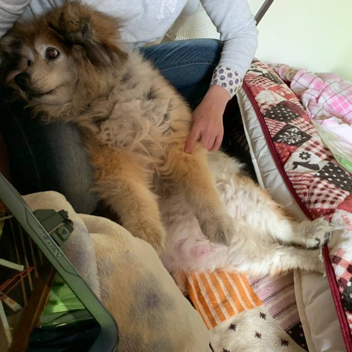 Ebab854b 4855 4ab3 817a 5f276d0fe6fc 1588909146054