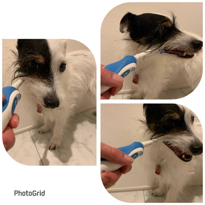 Ebab964b 2d4b 44ea 9a7d 07d4e2f10e5e 1688646480247