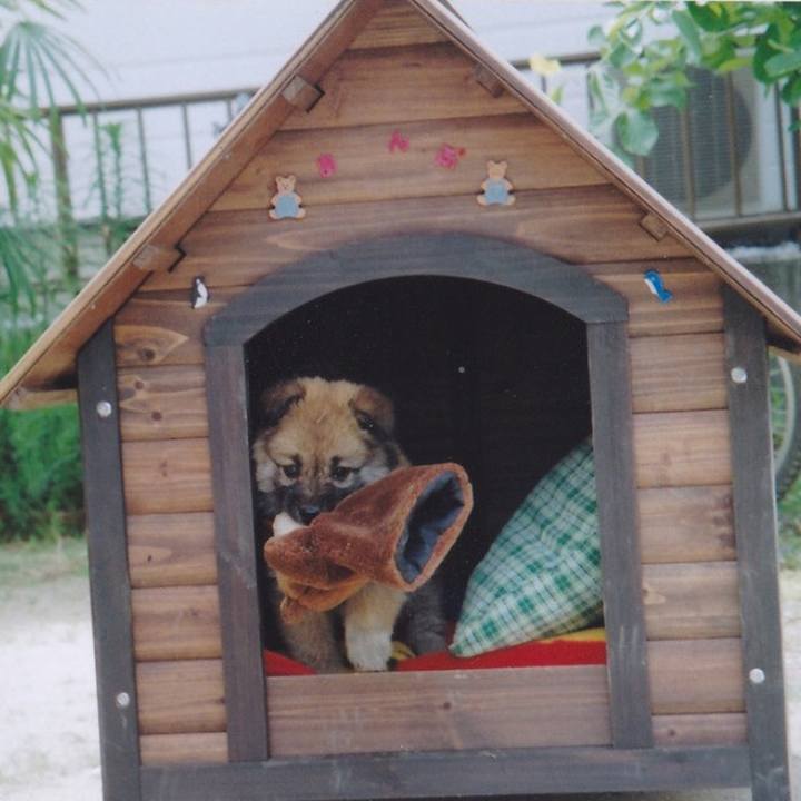 Ebabdbbc 0cc0 40b7 8dd0 27ec8885f330 1562973791275