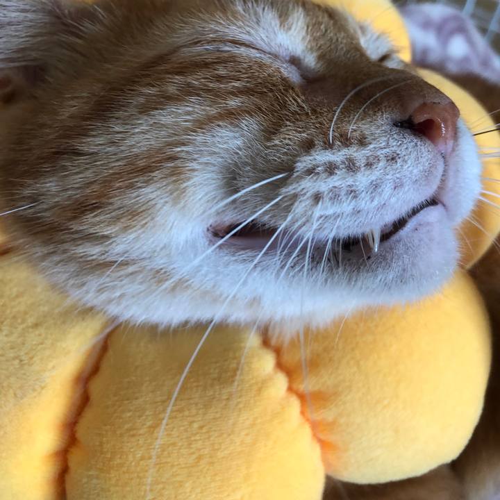 Ebac0858 ff88 4706 b63b c4fb22b9ef15 1660352304297