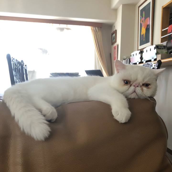 Ebac1e86 2ef3 494a 9dc0 182339b4e2eb 1628149412749