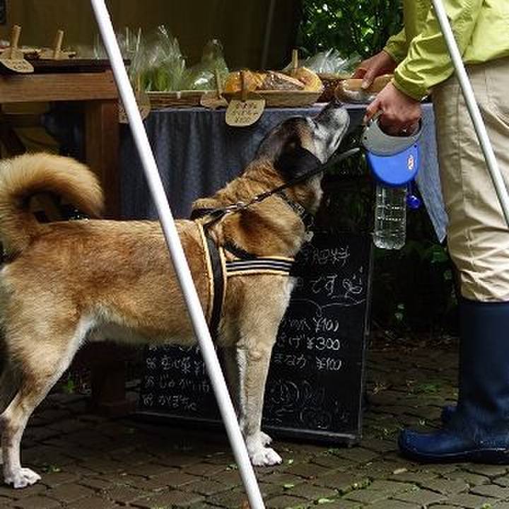 Ebac2935 f8d1 41e5 90cf c2ca0ef0b194 1507340921612