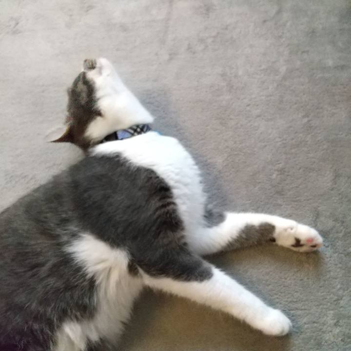 Ebac39e4 c146 4bcd 9df0 e26068ee3b45 1600907769638