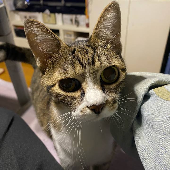 Ebac3cba 0007 420f 85a3 ef0d8d084671 1633095534592