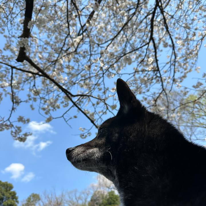 Ebac59ba 8088 4936 8780 2cb3910b26c1 1743850213500